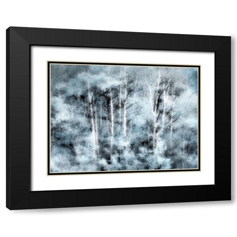 USA-Utah-Aspen Grove in infrared of the Logan Pass area Black Modern Wood Framed Art Print with Double Matting by Eggers, Terry