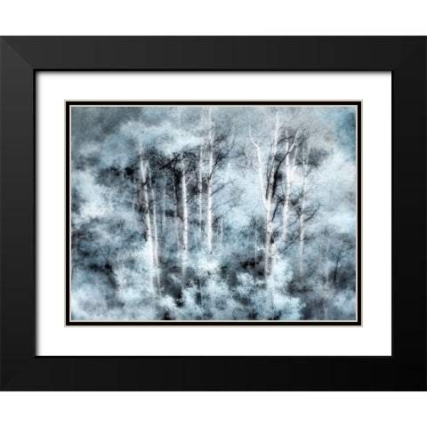 USA-Utah-Aspen Grove in infrared of the Logan Pass area Black Modern Wood Framed Art Print with Double Matting by Eggers, Terry