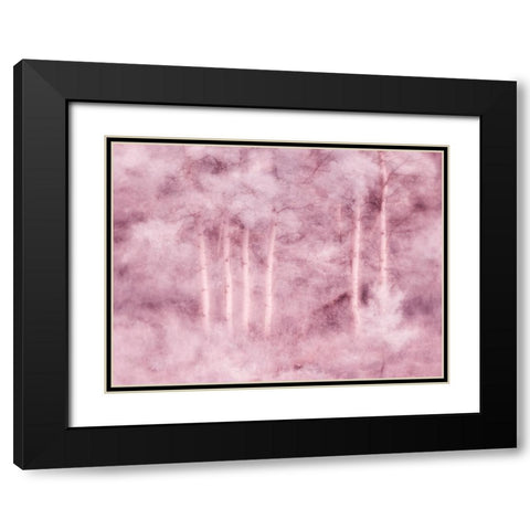 USA-Utah-Aspen Grove in infrared of the Logan Pass area Black Modern Wood Framed Art Print with Double Matting by Eggers, Terry