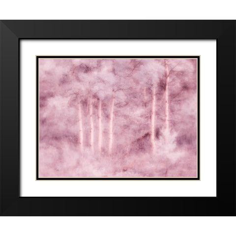 USA-Utah-Aspen Grove in infrared of the Logan Pass area Black Modern Wood Framed Art Print with Double Matting by Eggers, Terry