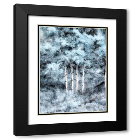 USA-Utah-Aspen Grove in infrared of the Logan Pass area Black Modern Wood Framed Art Print with Double Matting by Eggers, Terry