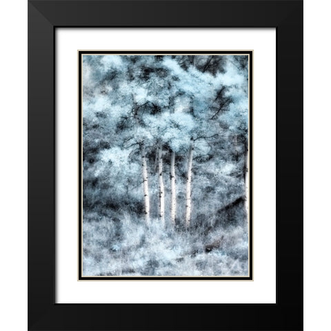 USA-Utah-Aspen Grove in infrared of the Logan Pass area Black Modern Wood Framed Art Print with Double Matting by Eggers, Terry