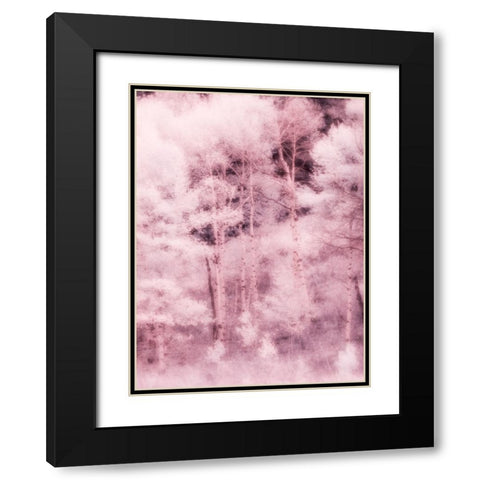 USA-Utah-Aspen Grove in infrared of the Logan Pass area Black Modern Wood Framed Art Print with Double Matting by Eggers, Terry