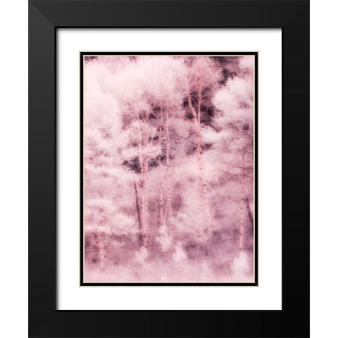 USA-Utah-Aspen Grove in infrared of the Logan Pass area Black Modern Wood Framed Art Print with Double Matting by Eggers, Terry