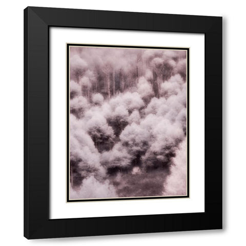 USA-Utah-Aspen Grove in infrared of the Logan Pass area Black Modern Wood Framed Art Print with Double Matting by Eggers, Terry