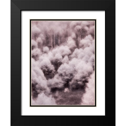 USA-Utah-Aspen Grove in infrared of the Logan Pass area Black Modern Wood Framed Art Print with Double Matting by Eggers, Terry