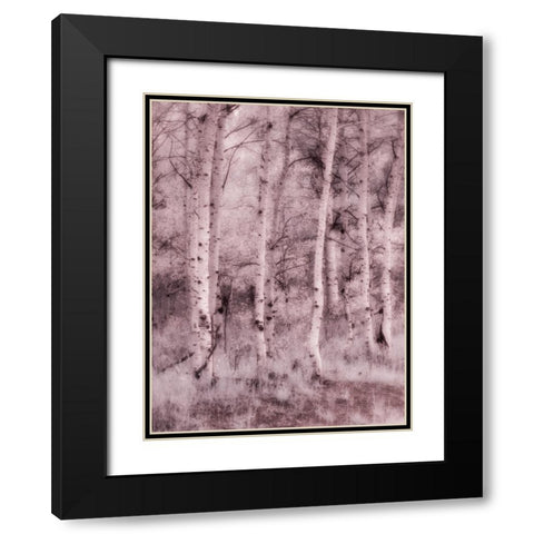 USA-Utah-Aspen Grove in infrared of the Logan Pass area Black Modern Wood Framed Art Print with Double Matting by Eggers, Terry