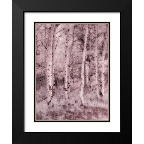 USA-Utah-Aspen Grove in infrared of the Logan Pass area Black Modern Wood Framed Art Print with Double Matting by Eggers, Terry