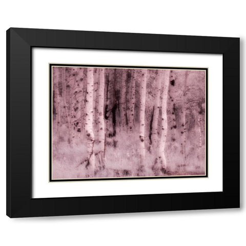 USA-Utah-Aspen Grove in infrared of the Logan Pass area Black Modern Wood Framed Art Print with Double Matting by Eggers, Terry