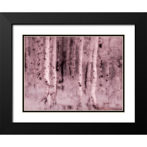 USA-Utah-Aspen Grove in infrared of the Logan Pass area Black Modern Wood Framed Art Print with Double Matting by Eggers, Terry