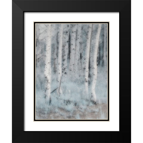 USA-Utah-Aspen Grove in infrared of the Logan Pass area Black Modern Wood Framed Art Print with Double Matting by Eggers, Terry