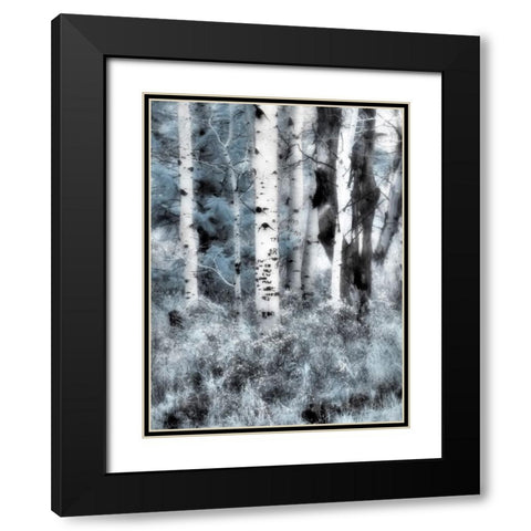 USA-Utah-Aspen Grove in infrared of the Logan Pass area Black Modern Wood Framed Art Print with Double Matting by Eggers, Terry