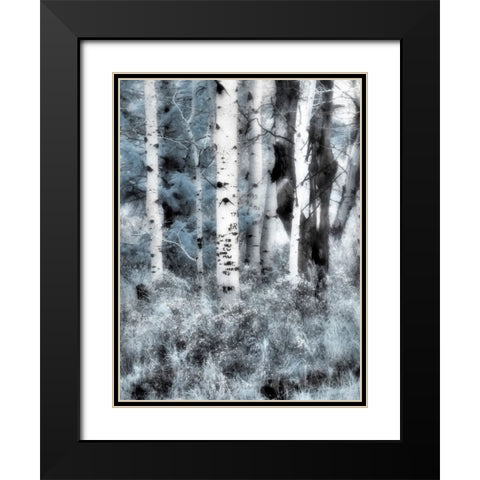 USA-Utah-Aspen Grove in infrared of the Logan Pass area Black Modern Wood Framed Art Print with Double Matting by Eggers, Terry