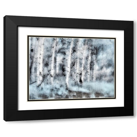 USA-Utah-Aspen Grove in infrared of the Logan Pass area Black Modern Wood Framed Art Print with Double Matting by Eggers, Terry