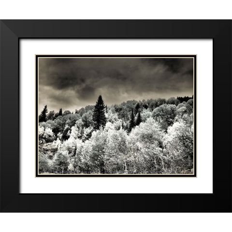 USA-Utah-Aspen Grove in infrared of the Logan Pass area Black Modern Wood Framed Art Print with Double Matting by Eggers, Terry