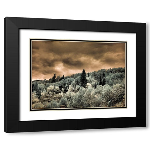 USA-Utah-Aspen Grove in infrared of the Logan Pass area Black Modern Wood Framed Art Print with Double Matting by Eggers, Terry