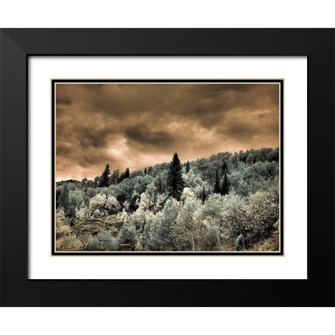 USA-Utah-Aspen Grove in infrared of the Logan Pass area Black Modern Wood Framed Art Print with Double Matting by Eggers, Terry