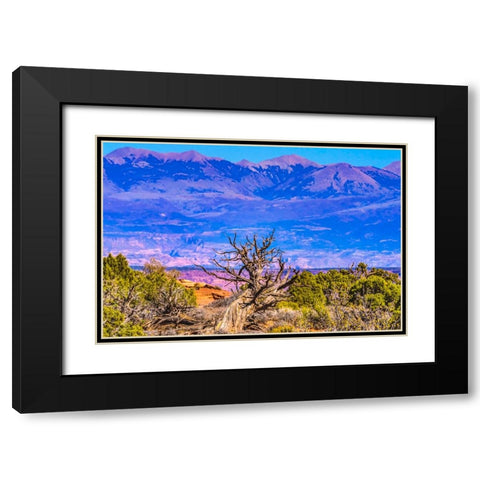 Old wood branch- Abajo Mountains- Canyonlands National Park- Moab- Utah. Black Modern Wood Framed Art Print with Double Matting by Perry, William