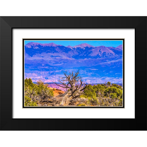 Old wood branch- Abajo Mountains- Canyonlands National Park- Moab- Utah. Black Modern Wood Framed Art Print with Double Matting by Perry, William