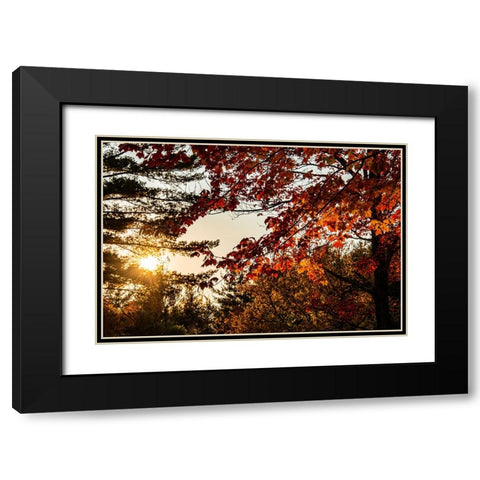 USA-Vermont-Morrisville-Jopson Lane Fall foliage Black Modern Wood Framed Art Print with Double Matting by Jones, Allison