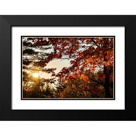 USA-Vermont-Morrisville-Jopson Lane Fall foliage Black Modern Wood Framed Art Print with Double Matting by Jones, Allison