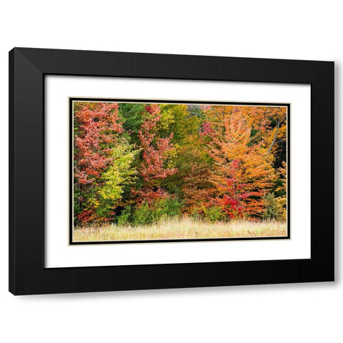 USA-Vermont-Morrisville Lyle McKee Road-fall foliage Black Modern Wood Framed Art Print with Double Matting by Jones, Allison