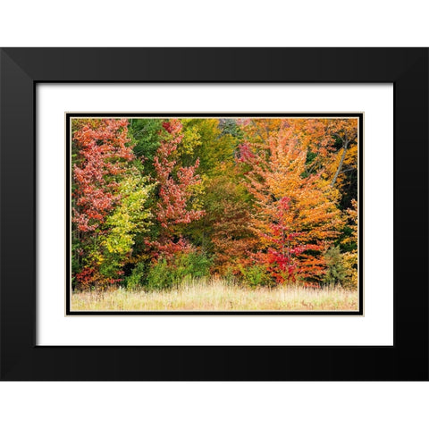 USA-Vermont-Morrisville Lyle McKee Road-fall foliage Black Modern Wood Framed Art Print with Double Matting by Jones, Allison