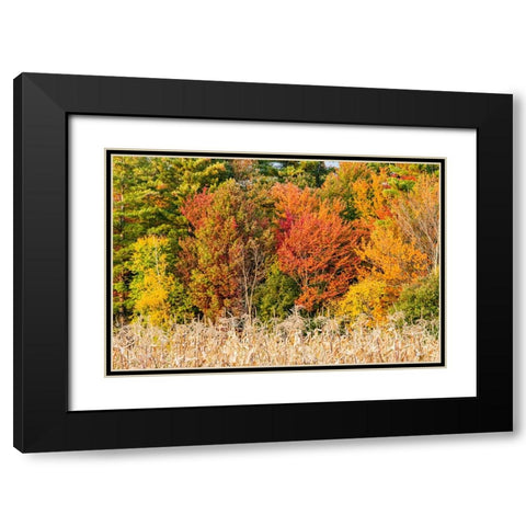USA-Vermont-Morrisville Lyle McKee Road-fall foliage Black Modern Wood Framed Art Print with Double Matting by Jones, Allison