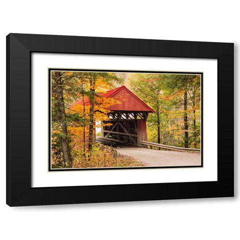 USA-Vermont-Stowe-Sterling Valley Road covered bridge in fall foliage Black Modern Wood Framed Art Print with Double Matting by Jones, Allison