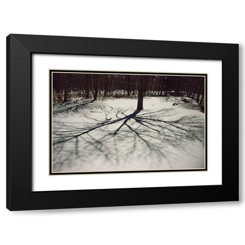 USA-Vermont-Morrisville-moon shadow of ash tree on snow-covered lawn Black Modern Wood Framed Art Print with Double Matting by Jones, Allison