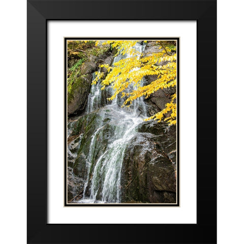 USA-Vermont-Fall foliage in Mad River Valley along trail to Warren Falls Black Modern Wood Framed Art Print with Double Matting by Jones, Allison