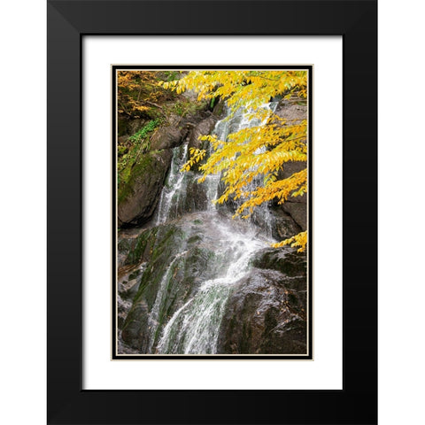 USA-Vermont-Fall foliage in Mad River Valley along trail to Warren Falls Black Modern Wood Framed Art Print with Double Matting by Jones, Allison
