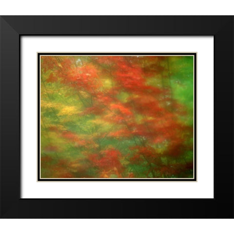 Vermont Abstract of maple trees Black Modern Wood Framed Art Print with Double Matting by Zuckerman, Jim