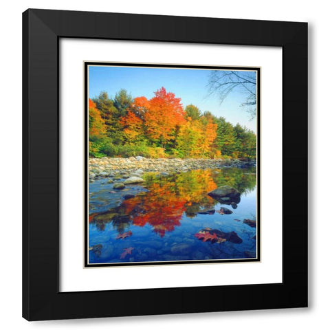 Vermont, Autumn reflecting in a stream Black Modern Wood Framed Art Print with Double Matting by Talbot Frank, Christopher