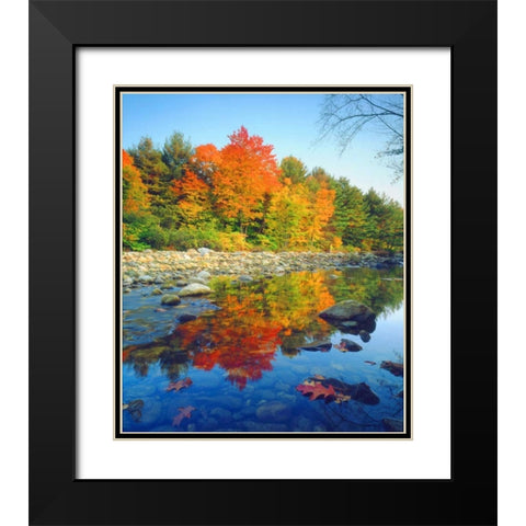 Vermont, Autumn reflecting in a stream Black Modern Wood Framed Art Print with Double Matting by Talbot Frank, Christopher