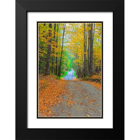 USA-New England-Vermont tree-lined roadway in Autumns Fall colors Black Modern Wood Framed Art Print with Double Matting by Gulin, Sylvia