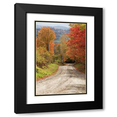 USA-New England-Vermont tree-lined roadway in Autumns Fall colors Black Modern Wood Framed Art Print with Double Matting by Gulin, Sylvia