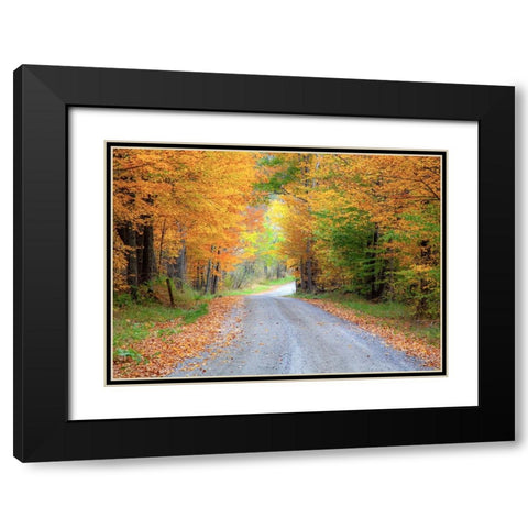 USA-New England-Vermont tree-lined roadway in Autumns Fall colors Black Modern Wood Framed Art Print with Double Matting by Gulin, Sylvia