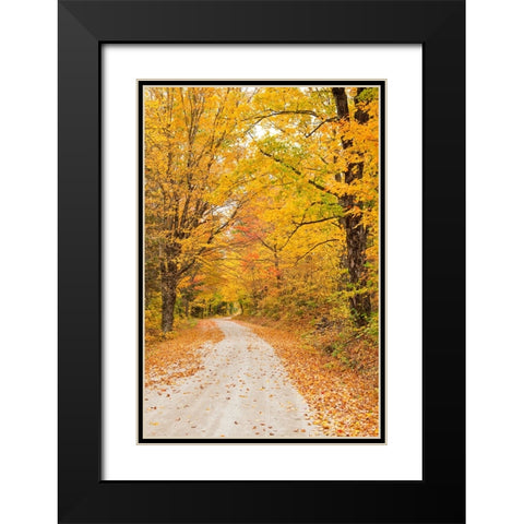 USA-New England-Vermont tree-lined roadway in Autumns Fall colors Black Modern Wood Framed Art Print with Double Matting by Gulin, Sylvia