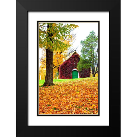 USA-New England-Vermont old brick building covered with ivy in Fall color Black Modern Wood Framed Art Print with Double Matting by Gulin, Sylvia