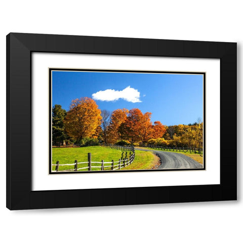 USA-New England-Vermont countryside with curved gravel road fence in Autumn Black Modern Wood Framed Art Print with Double Matting by Gulin, Sylvia