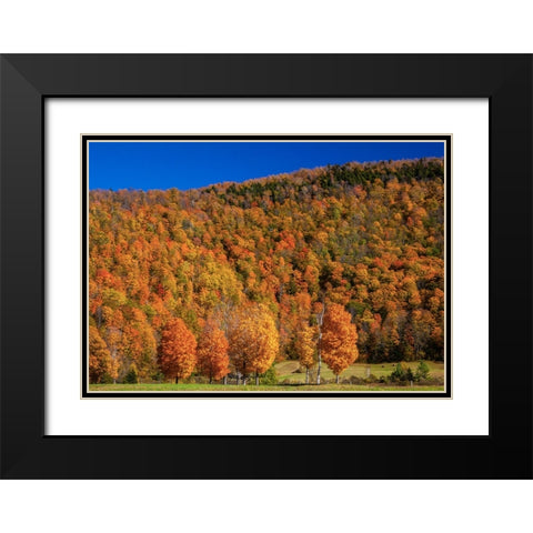 USA-New England-Vermont Black Modern Wood Framed Art Print with Double Matting by Gulin, Sylvia