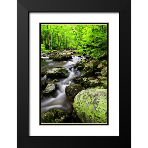 Virginia, Shenandoah NP Creek in the forest Black Modern Wood Framed Art Print with Double Matting by OBrien, Jay