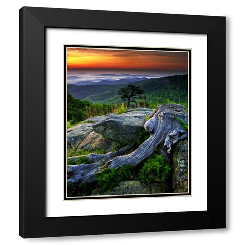 VA, Shenandoah NP Overlook from Skyline Drive Black Modern Wood Framed Art Print with Double Matting by OBrien, Jay