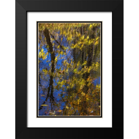 Virginia, McLean Scenic in Great Falls SP Black Modern Wood Framed Art Print with Double Matting by OBrien, Jay