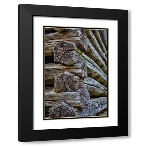 VA, Roanoke, Explore Park Detail of log cabin Black Modern Wood Framed Art Print with Double Matting by Paulson, Don