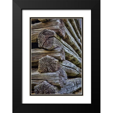 VA, Roanoke, Explore Park Detail of log cabin Black Modern Wood Framed Art Print with Double Matting by Paulson, Don