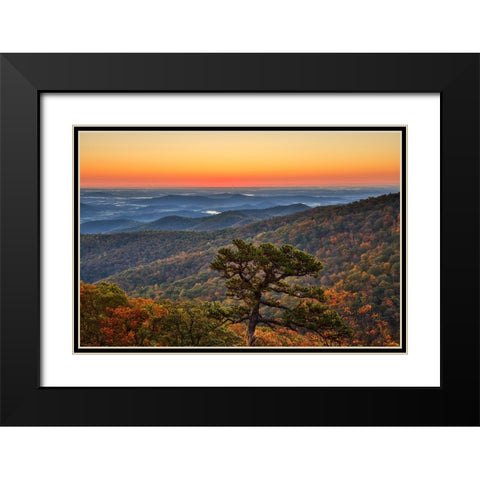 USA-Virginia-Shenandoah National Park-Sunrise along Skyline Drive in the Fall Black Modern Wood Framed Art Print with Double Matting by Looney, Hollice