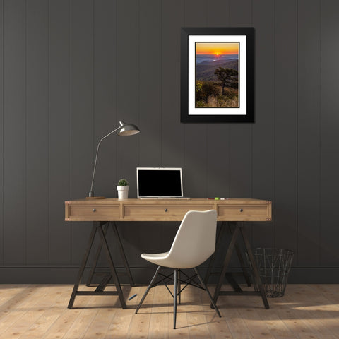 USA-Virginia-Shenandoah National Park-Sunrise along Skyline Drive in the Fall Black Modern Wood Framed Art Print with Double Matting by Looney, Hollice