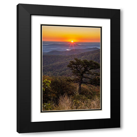 USA-Virginia-Shenandoah National Park-Sunrise along Skyline Drive in the Fall Black Modern Wood Framed Art Print with Double Matting by Looney, Hollice